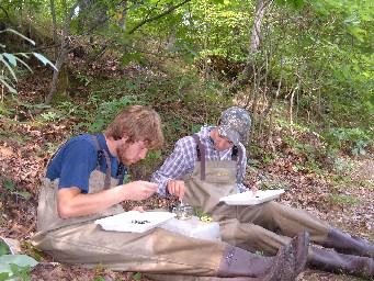 Ryerson Invertebrate Sampling